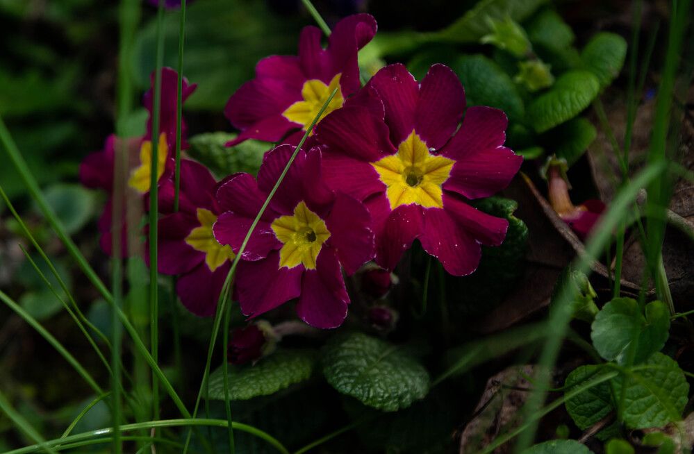 Photograph by maxime FLEURET