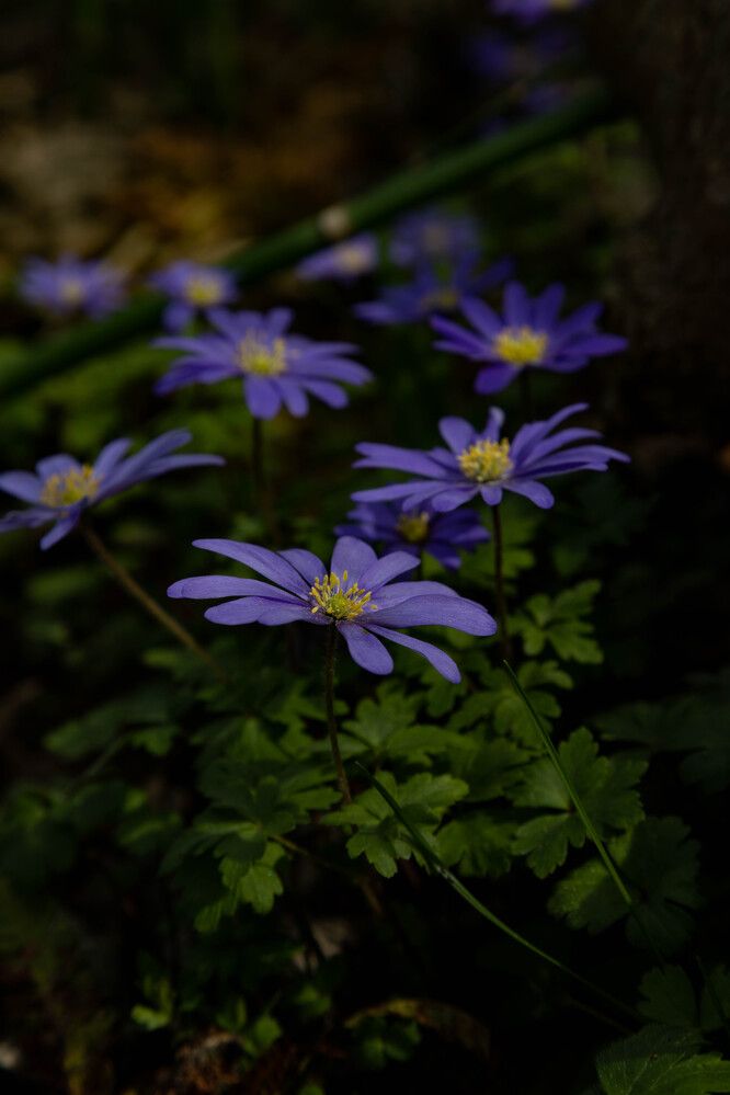 Photograph by maxime FLEURET