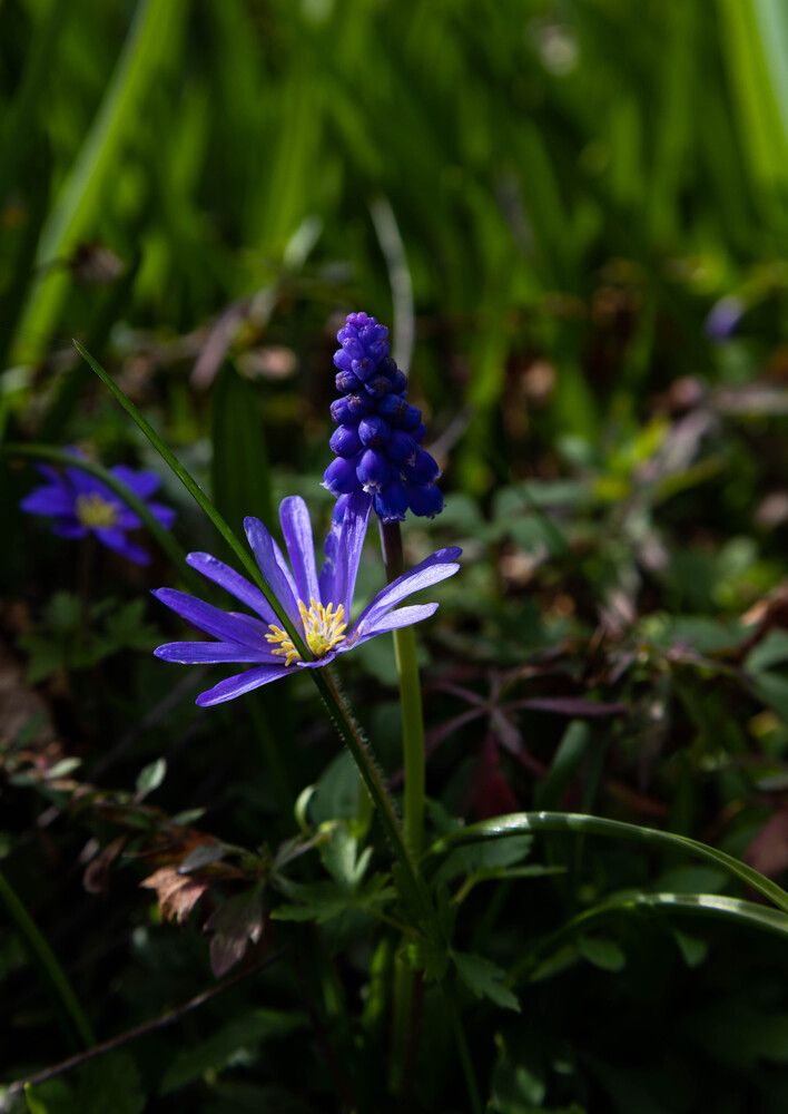 Photograph by maxime FLEURET