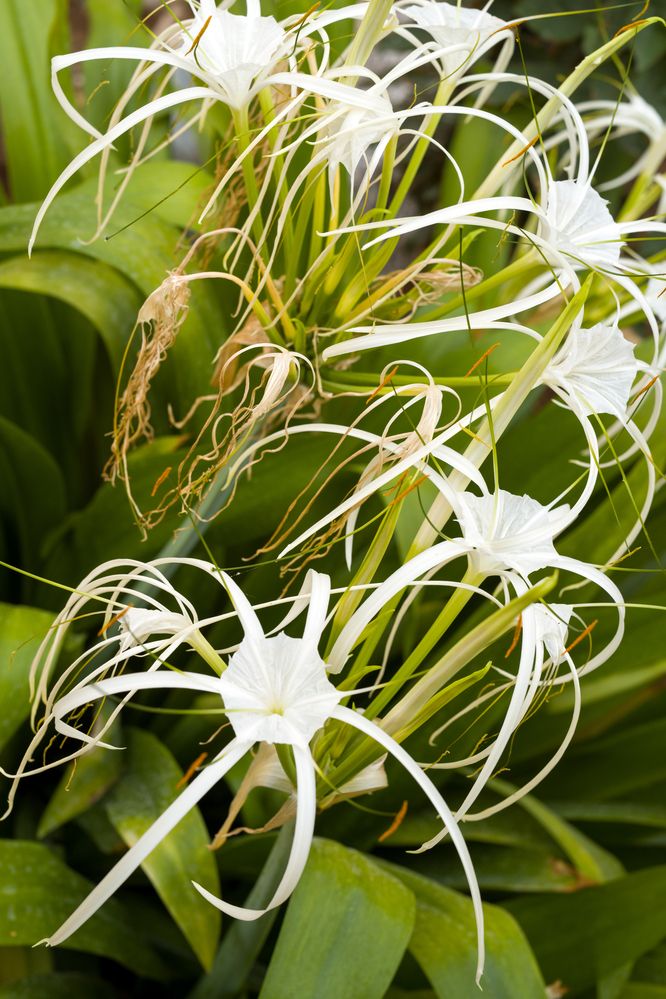 Photograph by Антон Шаркас