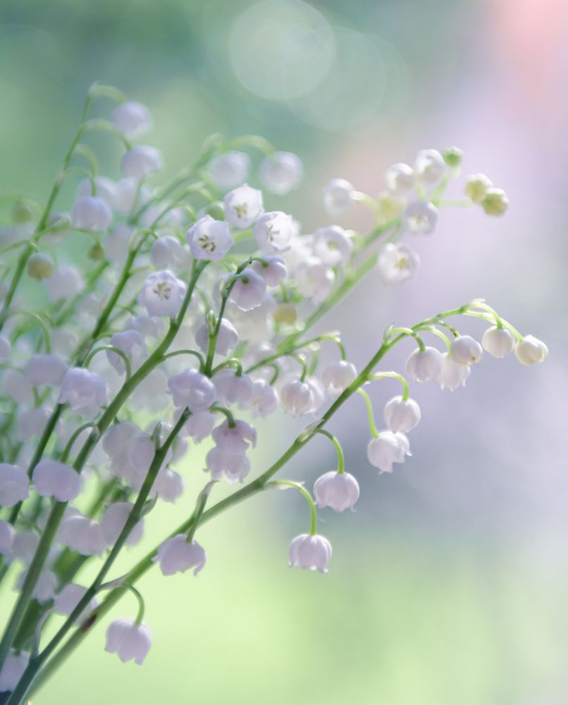 Photograph by Божена Пучко