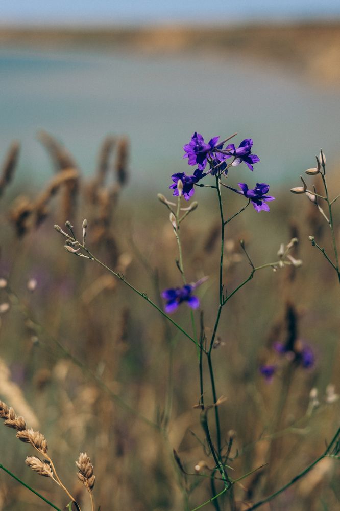 Photograph by Irina Chka