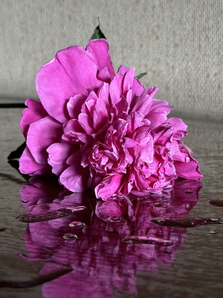 Photograph by Белла