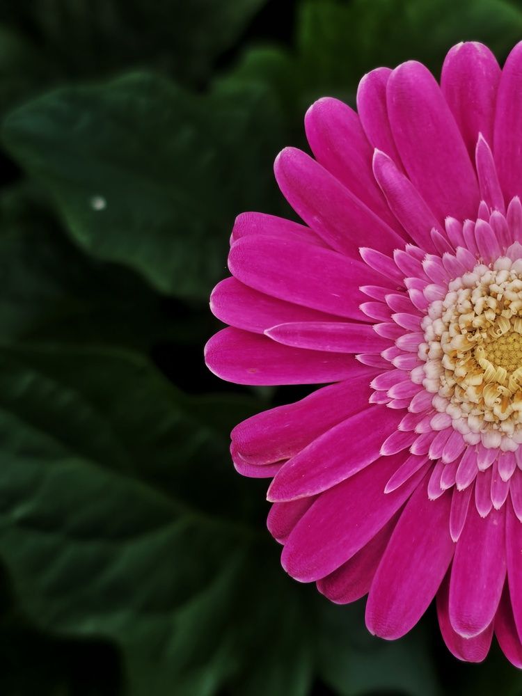 Photograph by Chinmaya Patil