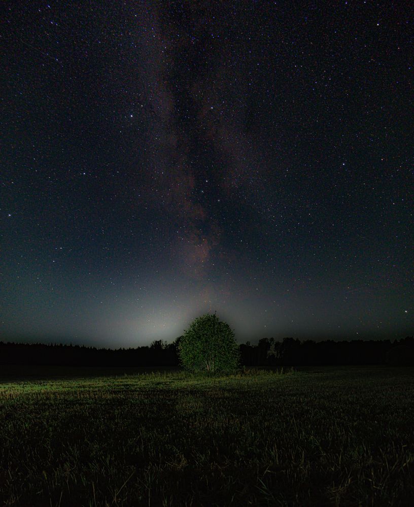Photograph by Кокорин Алексей