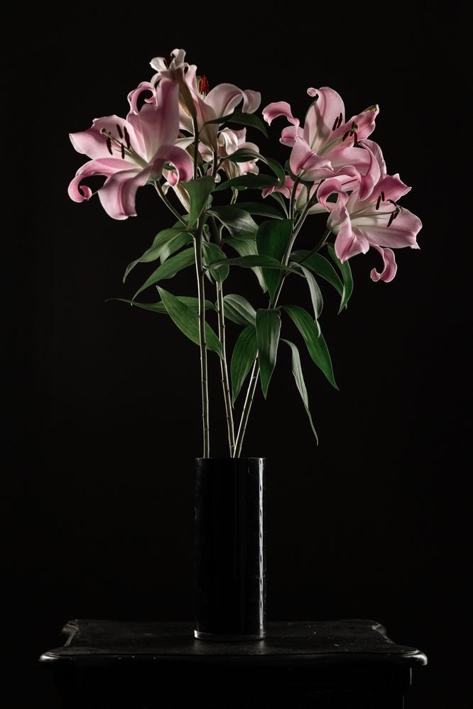 Photograph by Oksana Korogodin