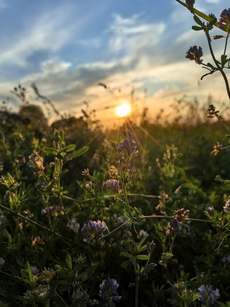 Photograph by Екатерина