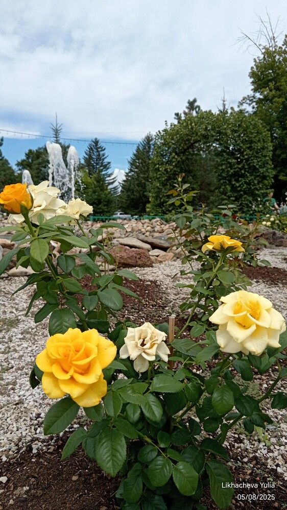 Photograph by Юлия Лихачева