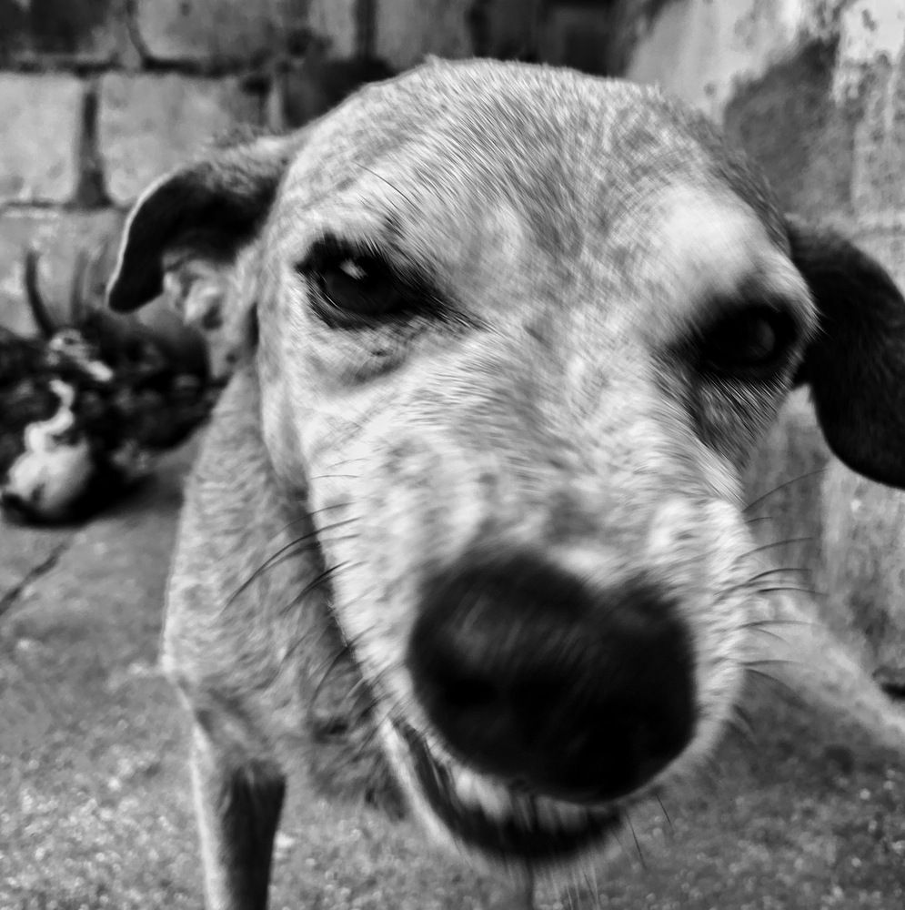 Фотография автора Osmany Fernández