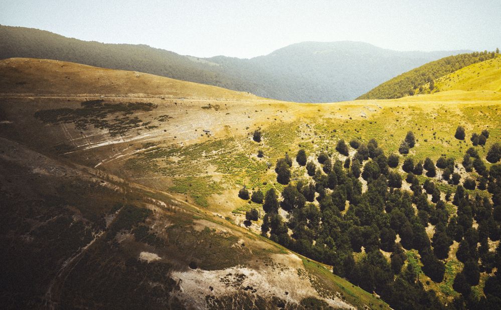 Photograph by Morteza Ghanbari