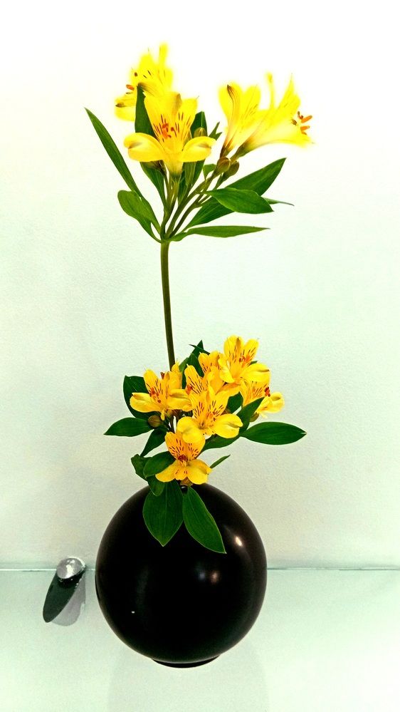 Photograph by Jorge Lima