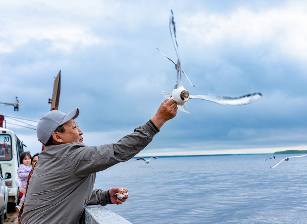 Photograph by Саргылана Прокопьева