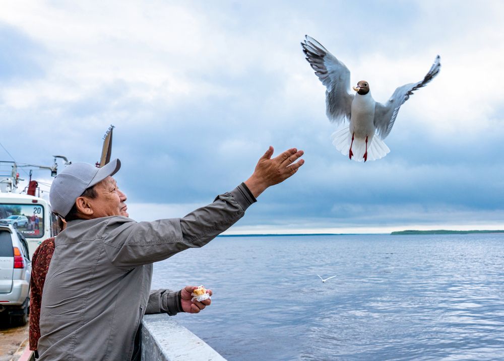 Photograph by Саргылана Прокопьева
