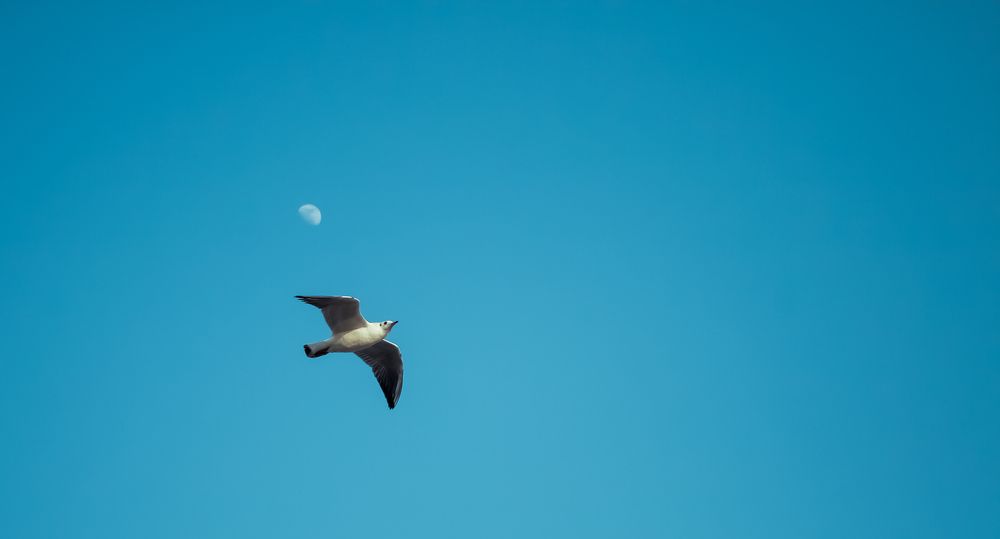 Photograph by Morteza Ghanbari