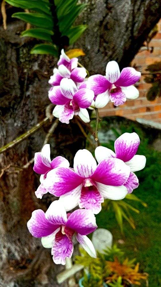 Photograph by Jorge Lima