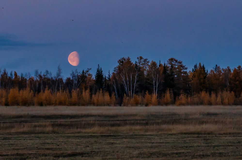 Photograph by Саргылана Прокопьева