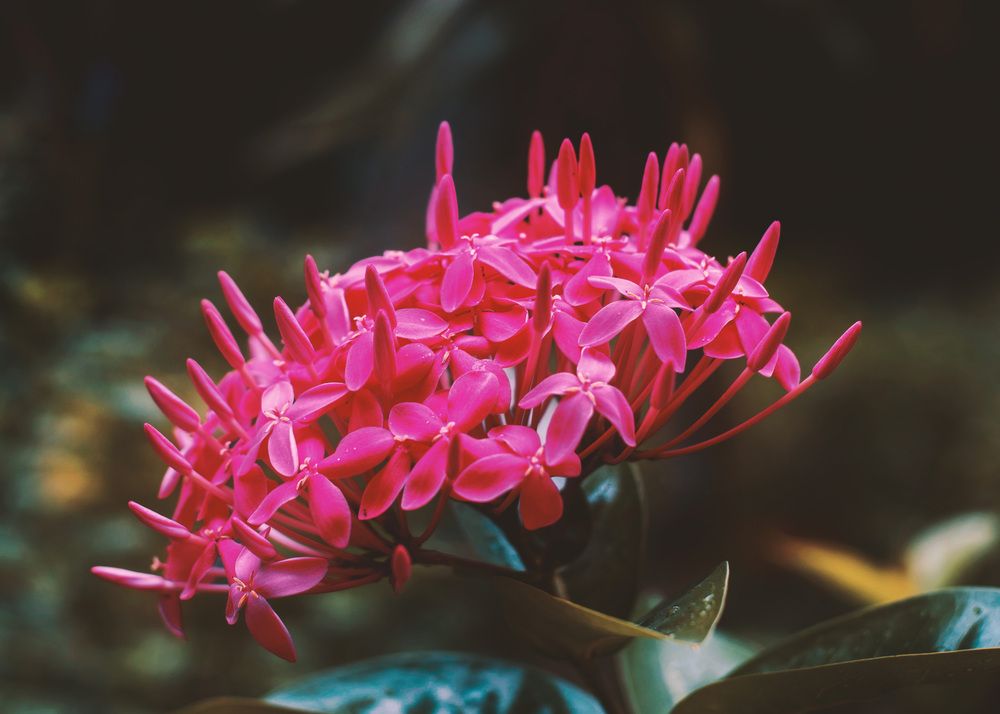 Photograph by Juan Javier Medina Pereira