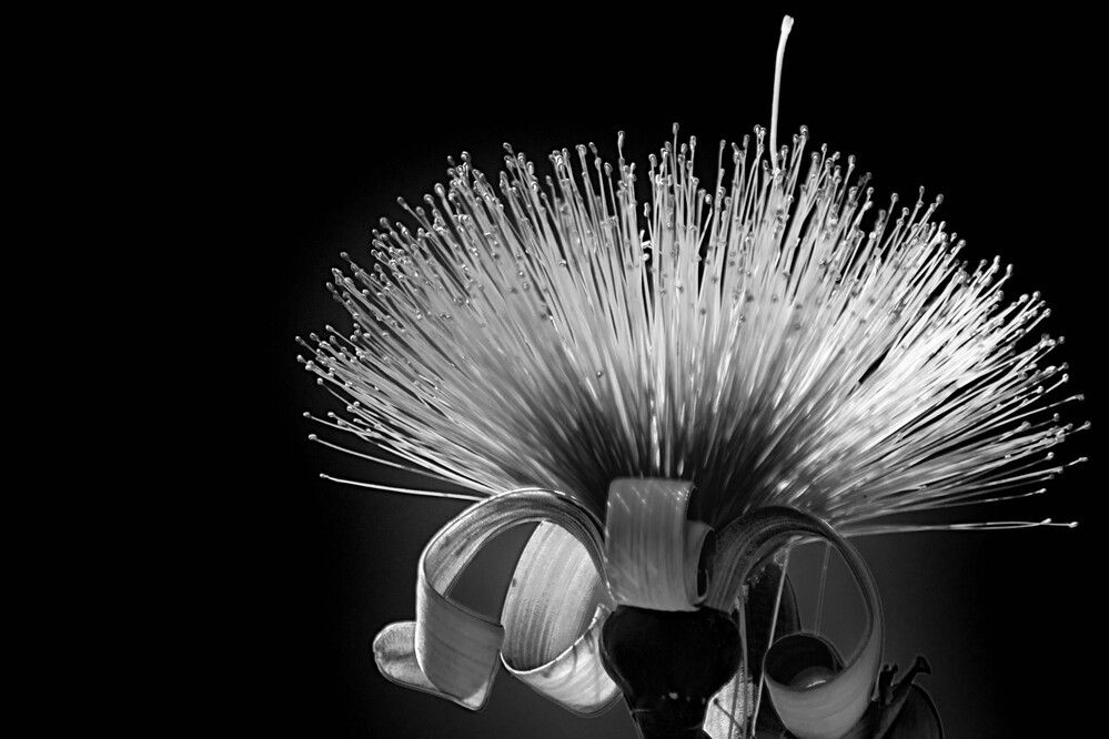 Photograph by Juan Javier Medina Pereira