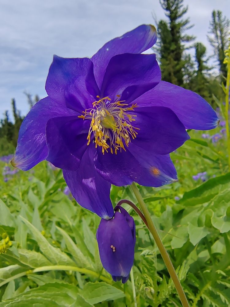 Photograph by Елена