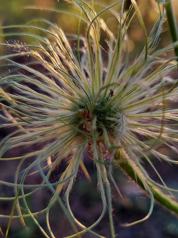 Photograph by Елена