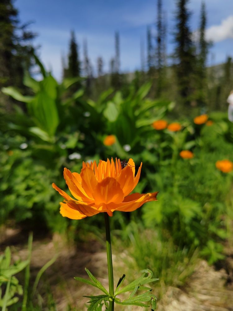 Photograph by Елена