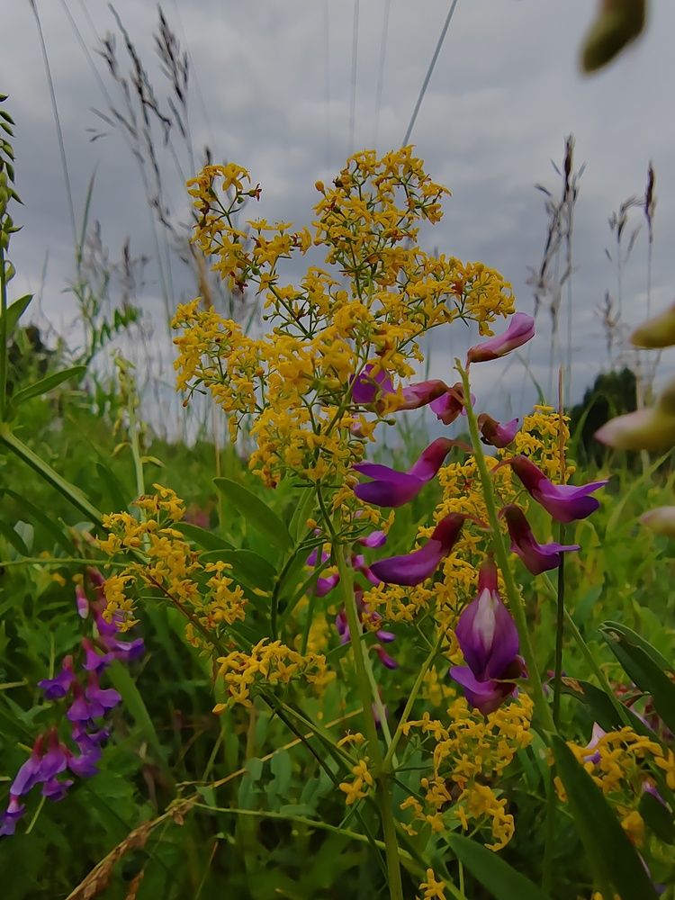 Photograph by Елена