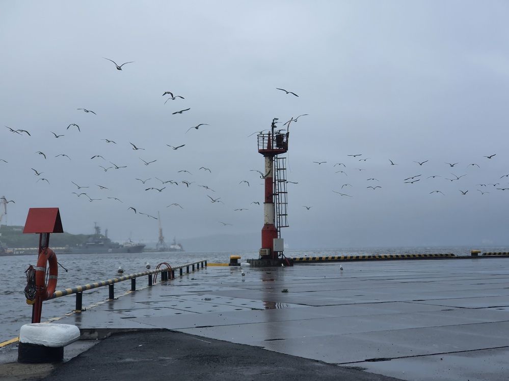 Photograph by Artur Raduntsev