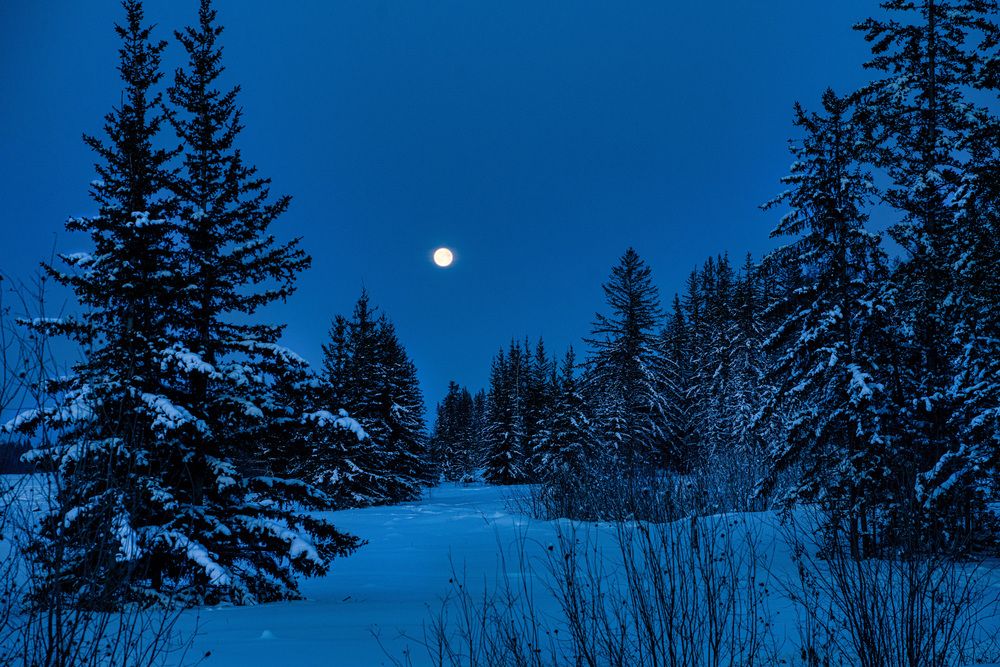 Photograph by Саргылана Прокопьева