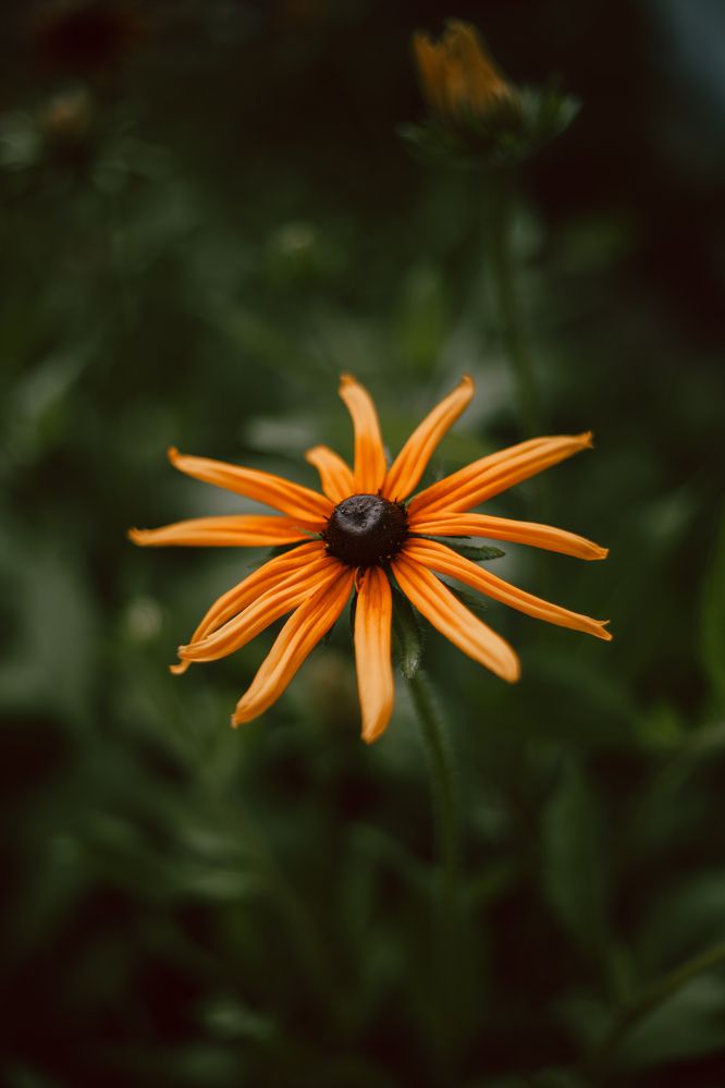 Photograph by Света Вирбицкас