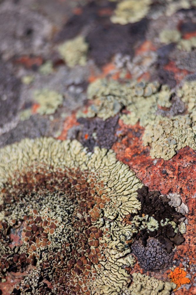 Photograph by Юлия Мальнева