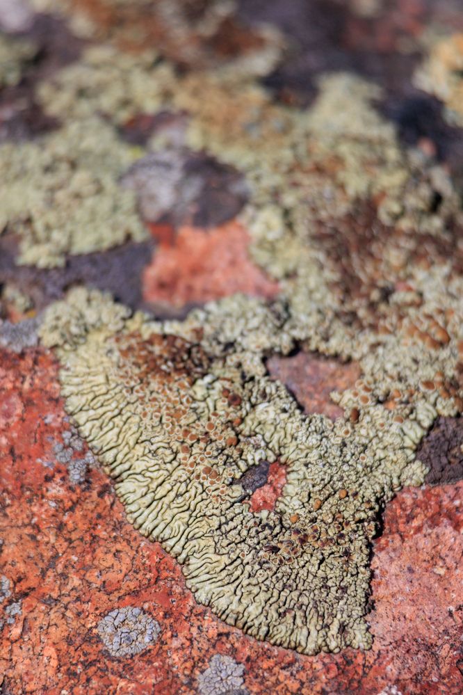 Photograph by Юлия Мальнева