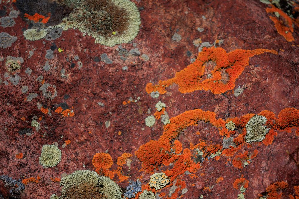 Photograph by Юлия Мальнева