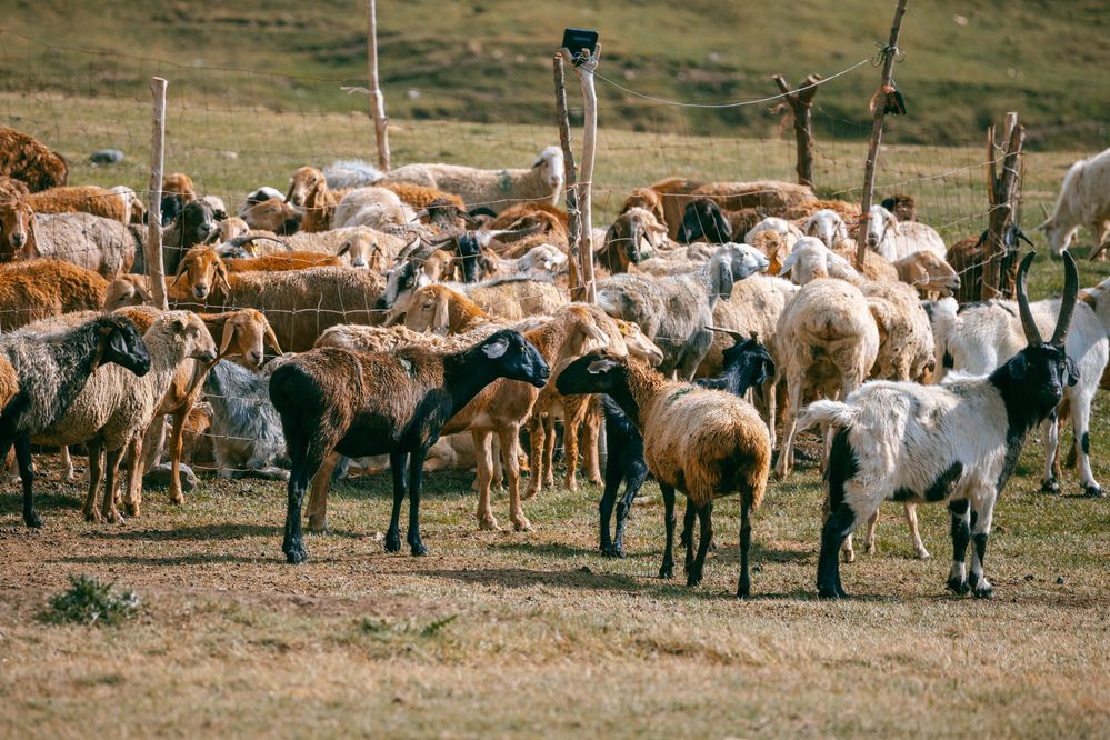 Photograph by Юлия Мальнева