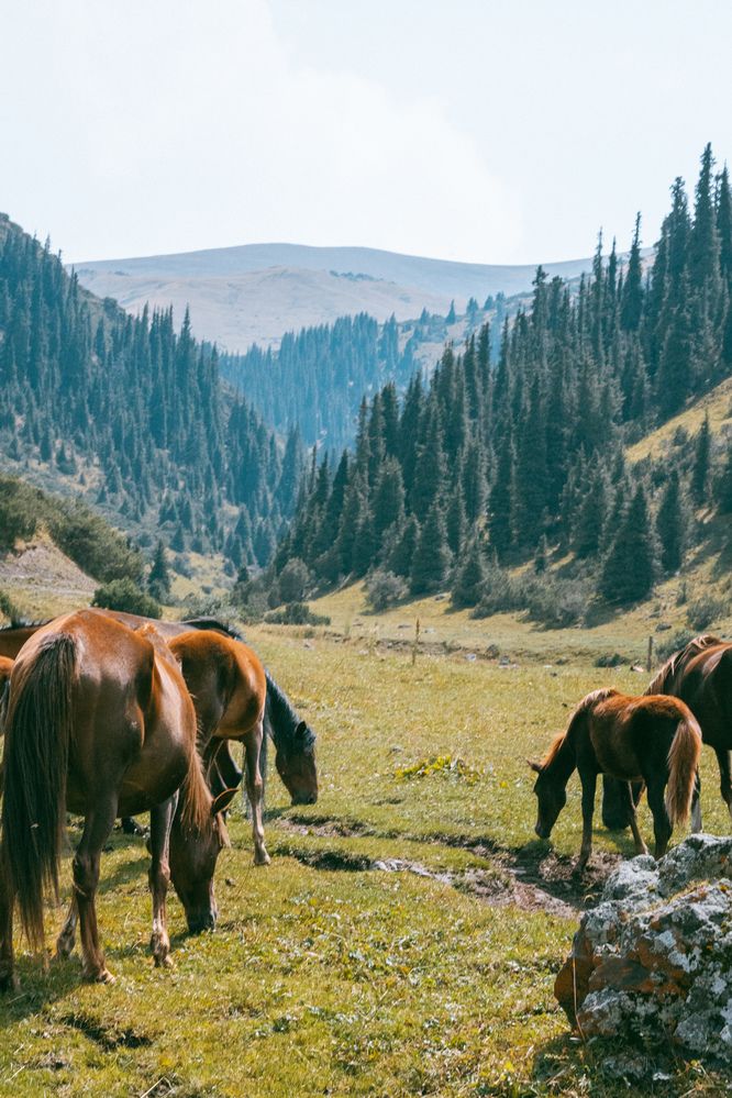 Photograph by Юлия Мальнева