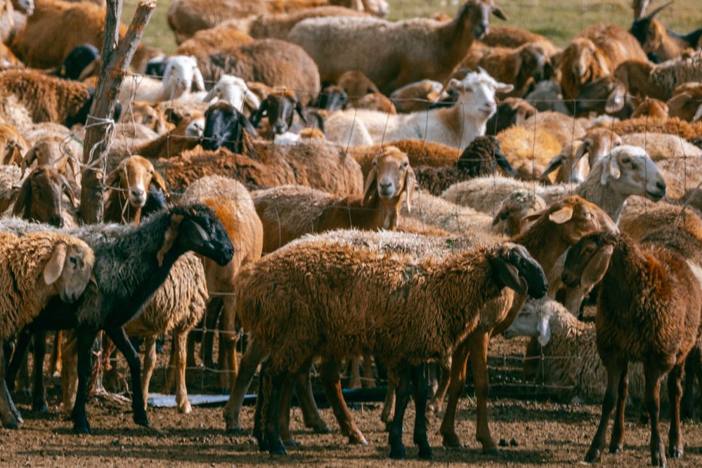Photograph by Юлия Мальнева