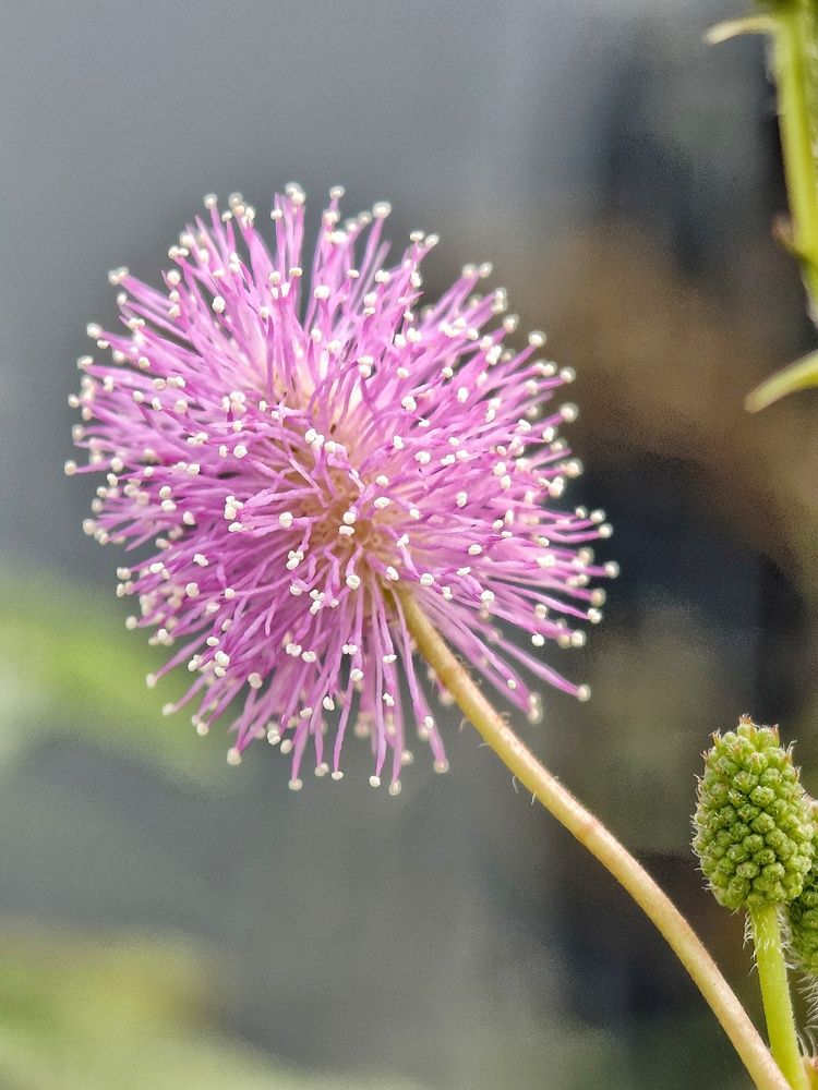 Photograph by Anil Yadav