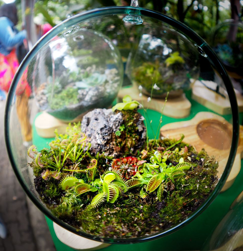 Фотография автора Camilo Rojas