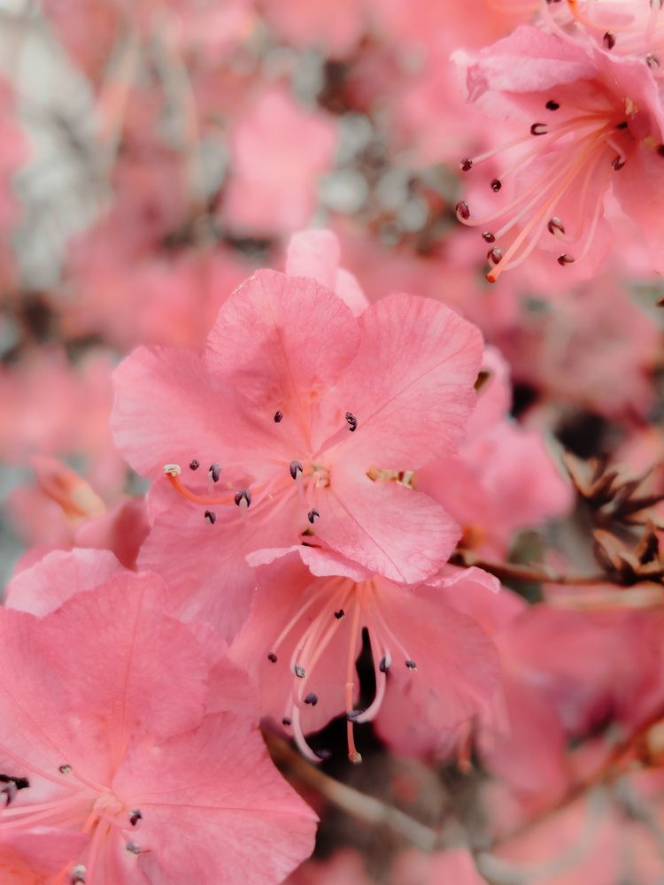 Photograph by Кристина Присяжная