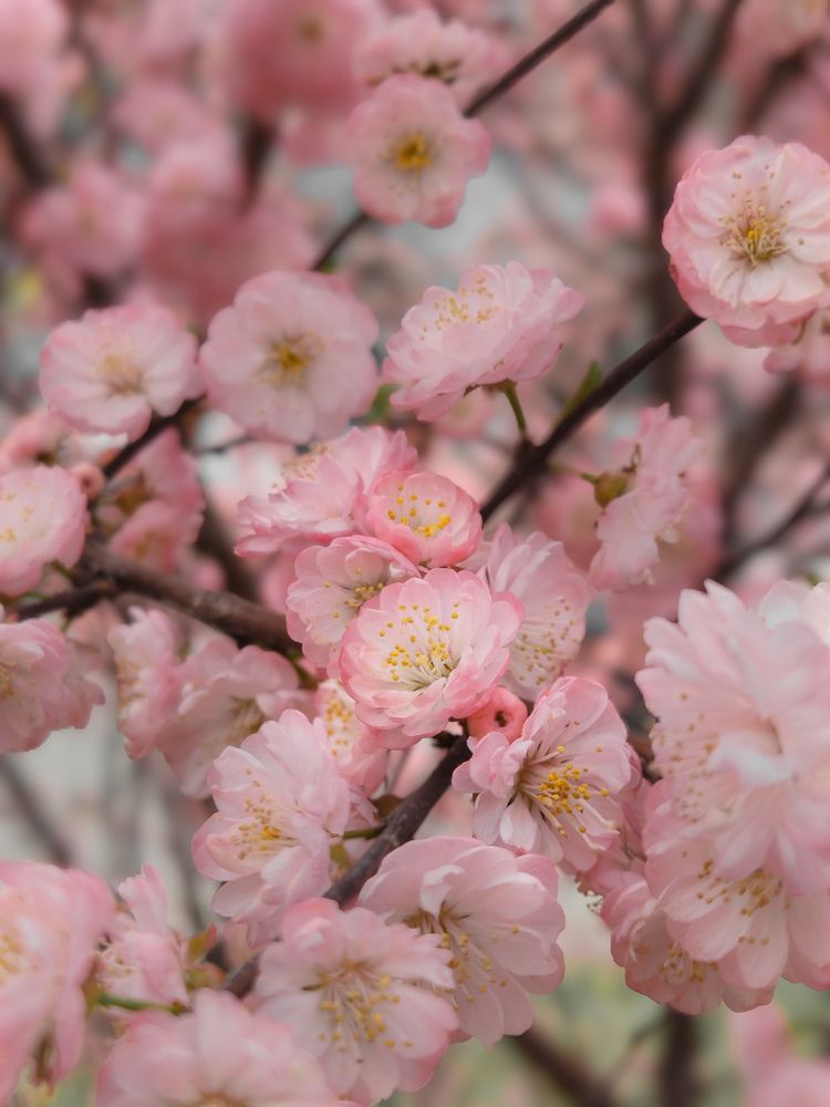 Photograph by Кристина Присяжная