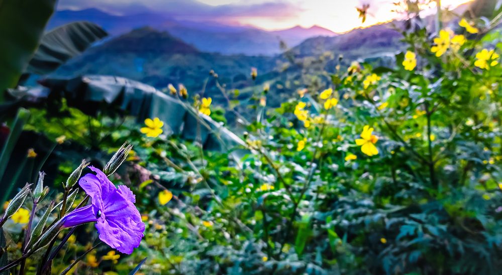 Photograph by EFREN VICTORINO