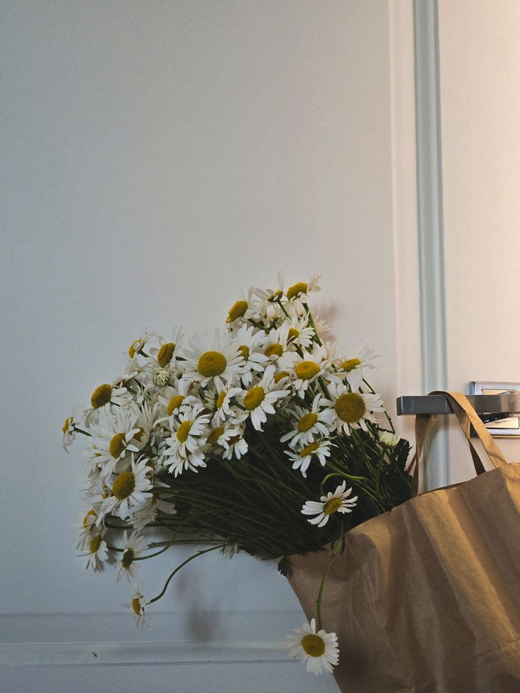 Photograph by Ольга Дёмина