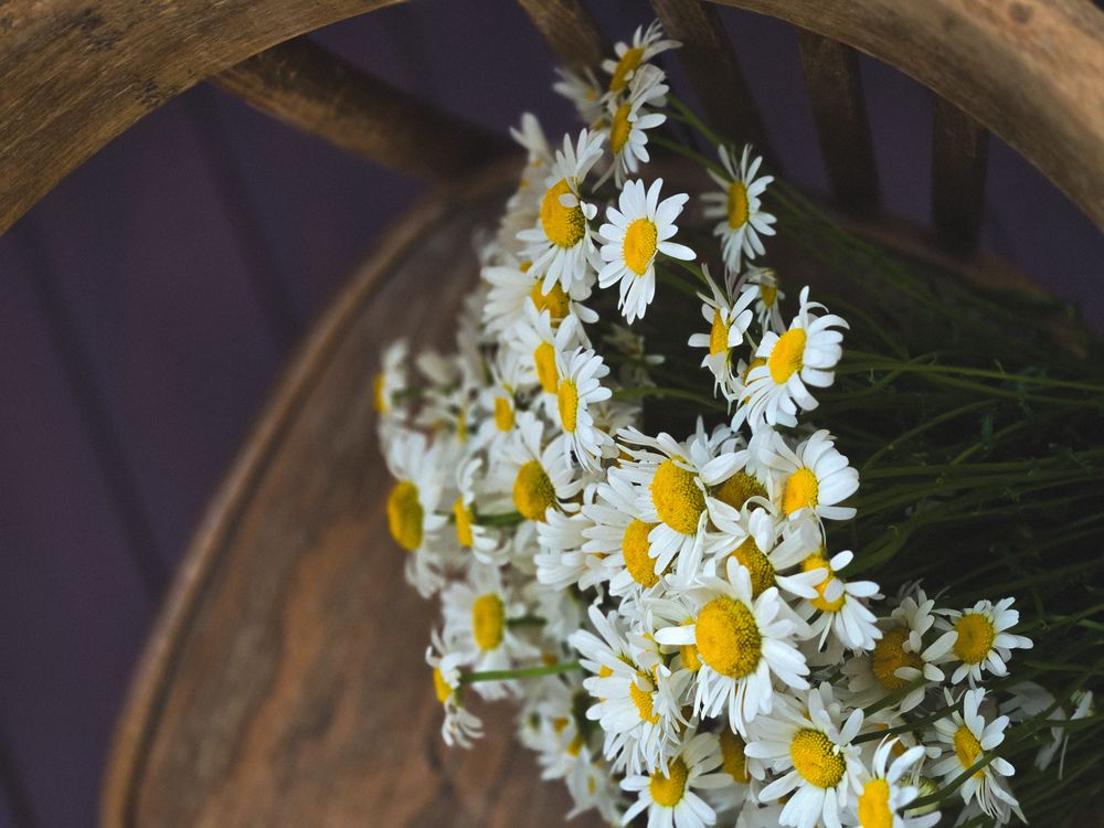 Photograph by Ольга Дёмина