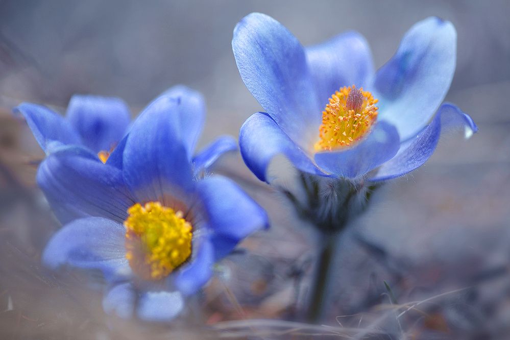 Photograph by Варвара Штерн