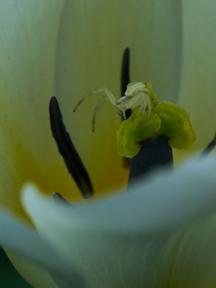 Photograph by Ирина Дегтярева