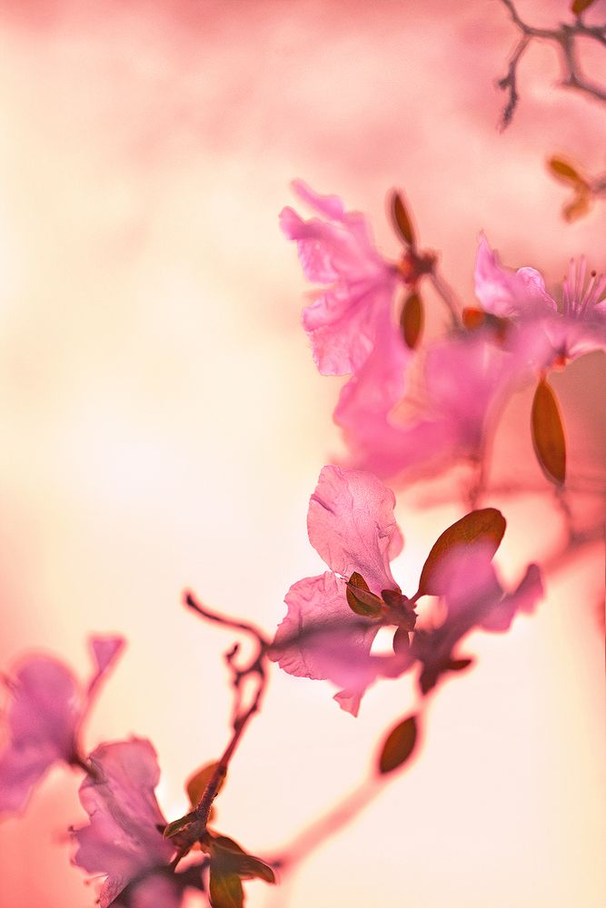 Photograph by Варвара Штерн