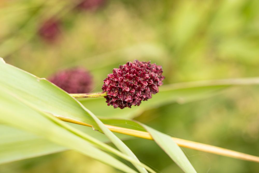 Photograph by Анна Оськина