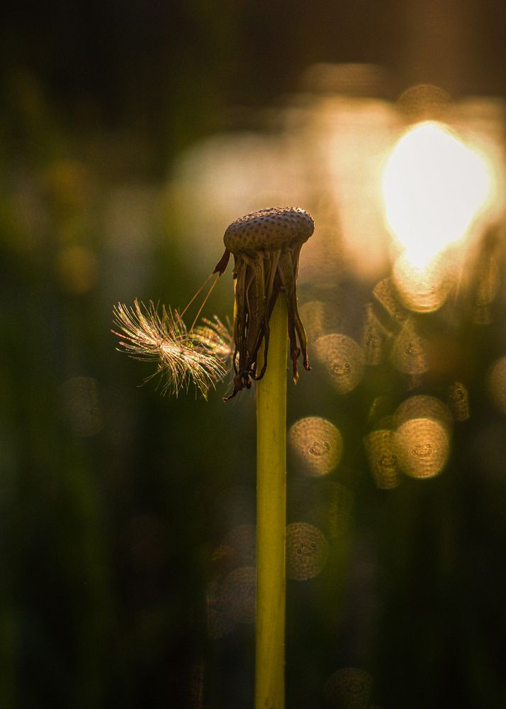 Photograph by Алла Никушкина