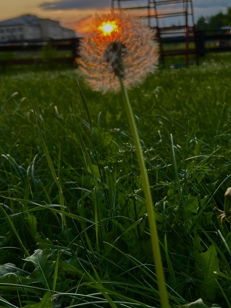 Photograph by Анна Киселева