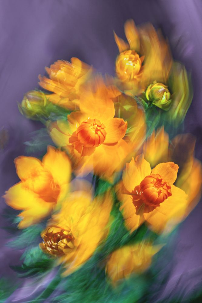 Photograph by Вета Юн