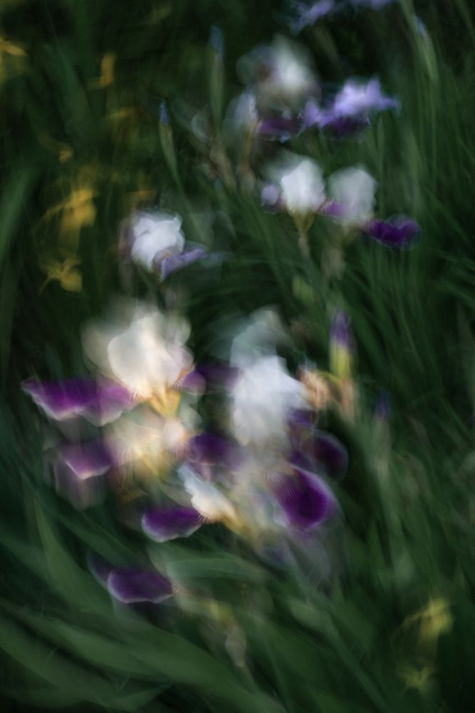 Photograph by Вета Юн